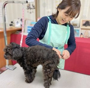 トリミング画像